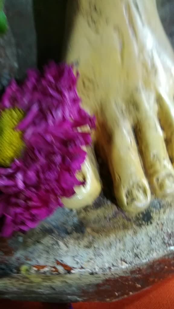 @Sandyro7
