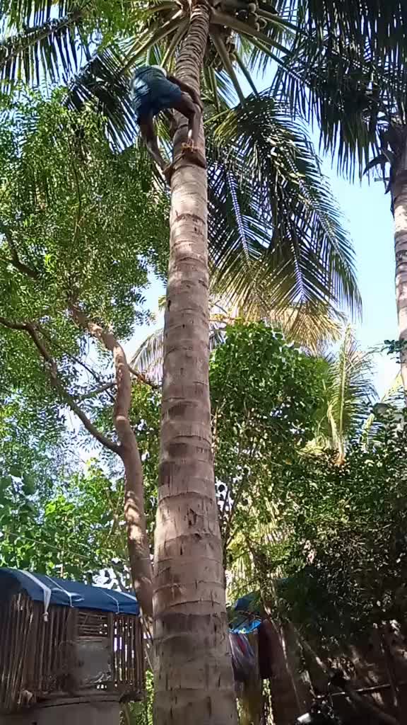 @user7413243602292