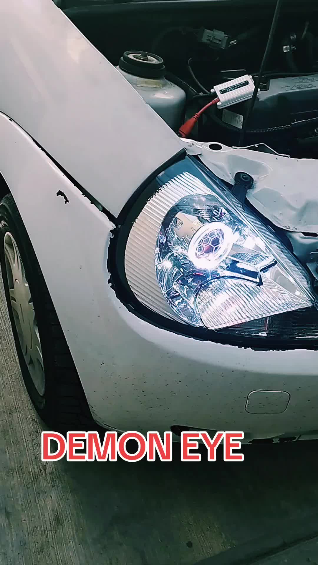 @iluminacionledpanda