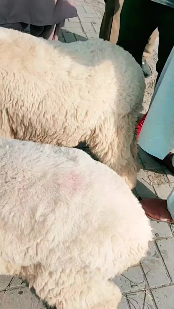 @â¤đ
°đ
łđ
´đ
´đ
ťâ¤ŕźşMŕźť