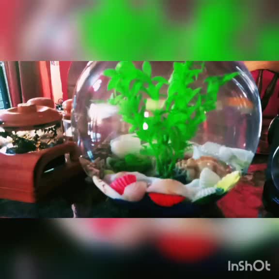 @kanak negi❤