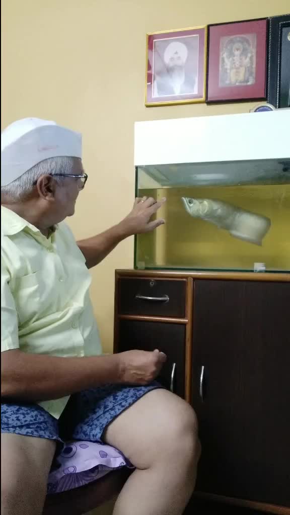 @Sameer Bhujbal