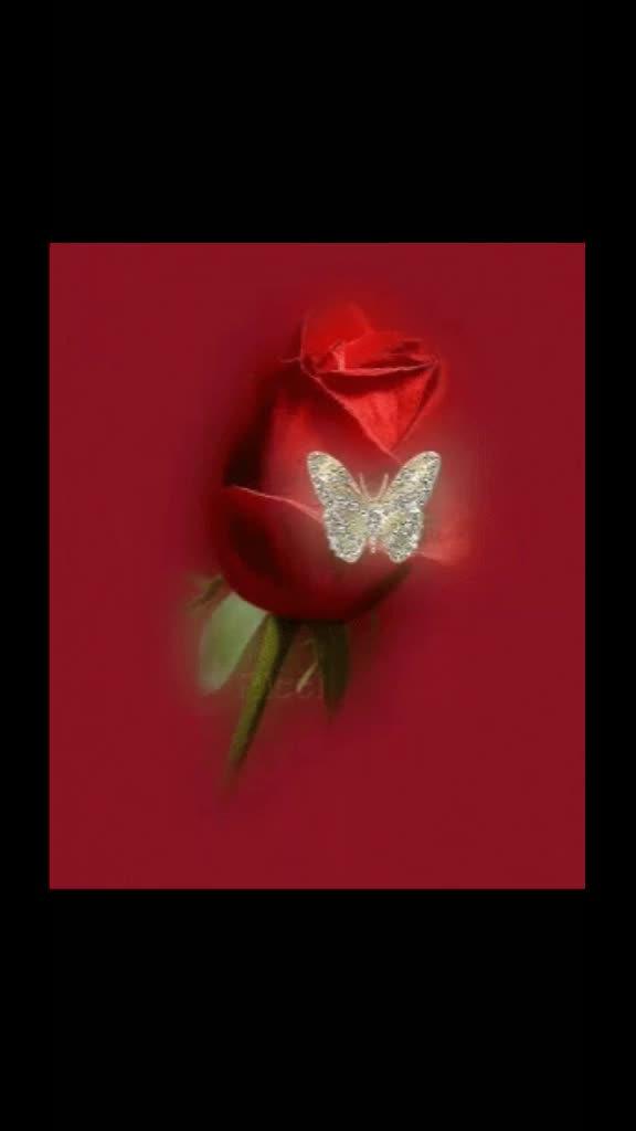@purvi