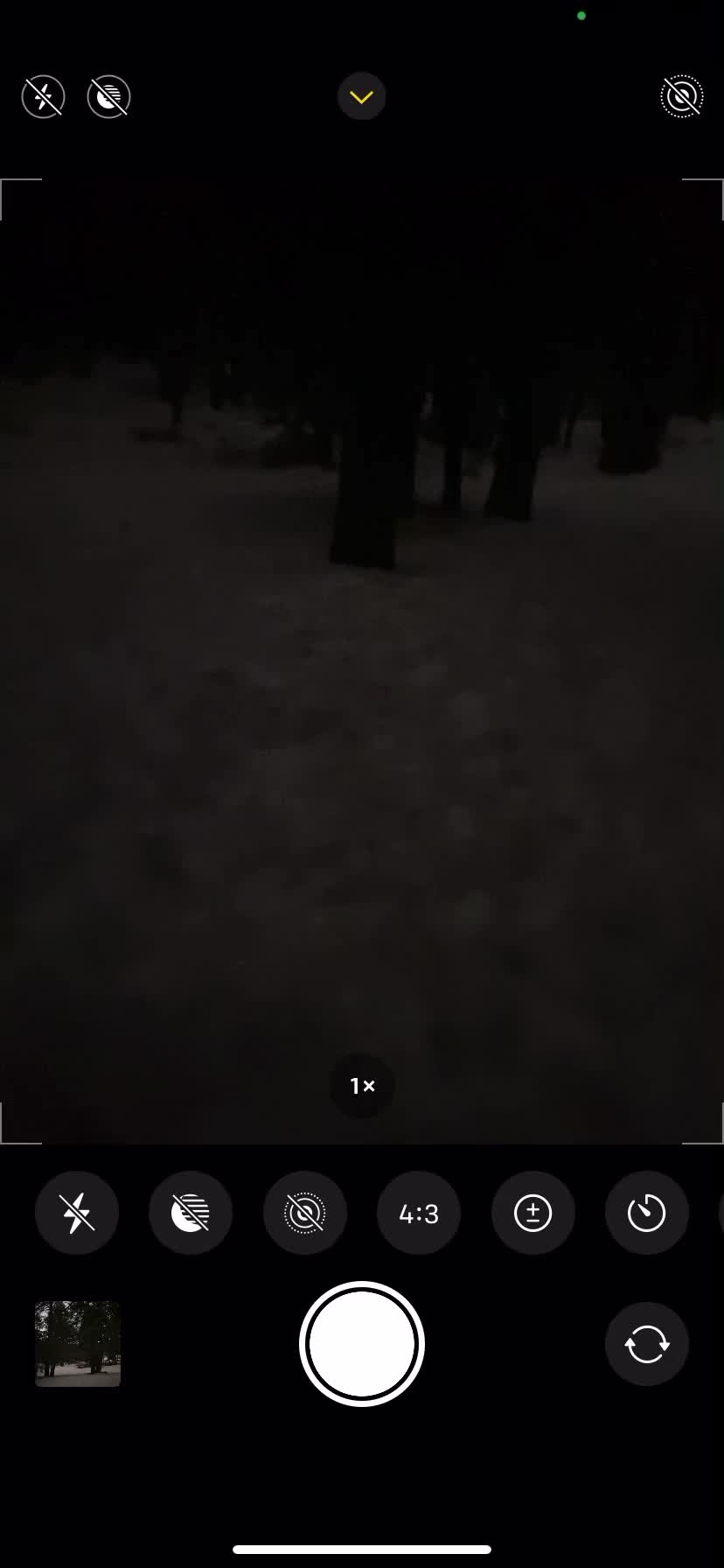 @️monkey