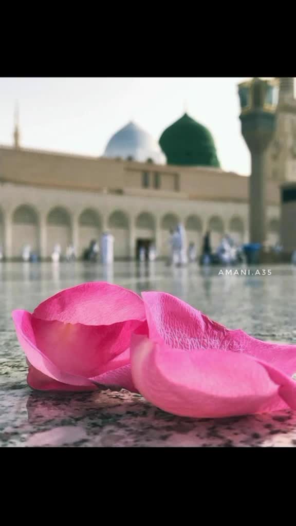 @zaiba