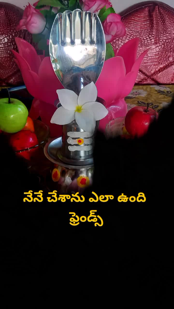 @user244412845255494