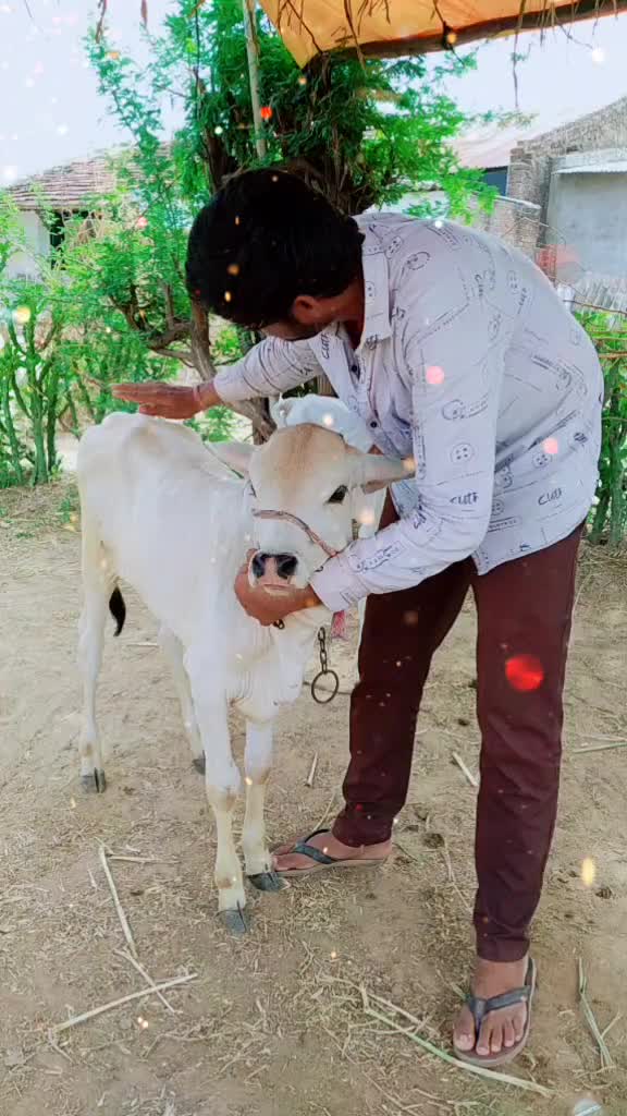 @😎H.k Rabari😎