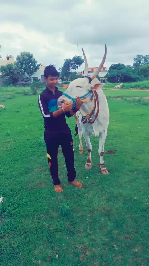 @Ranavikram 167