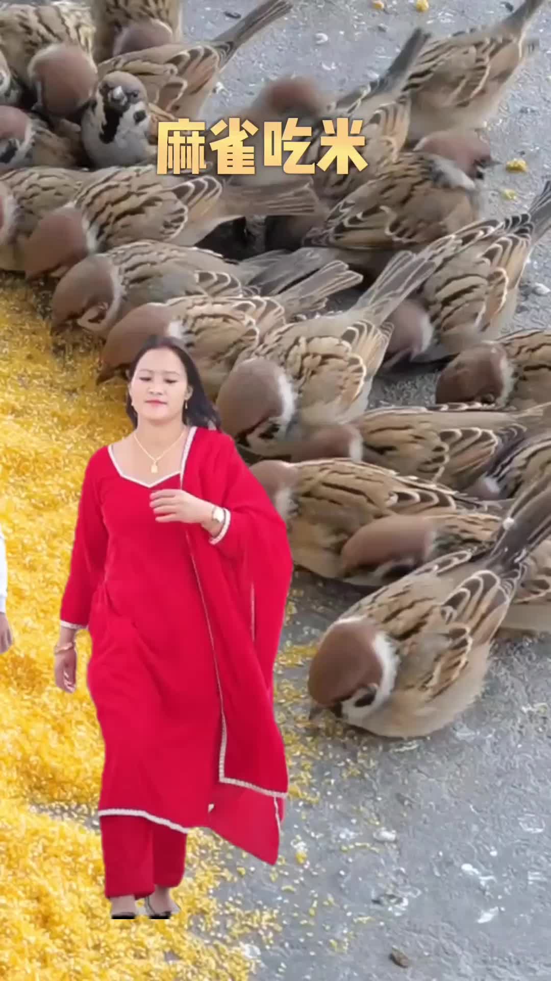 @Kalpana Magar