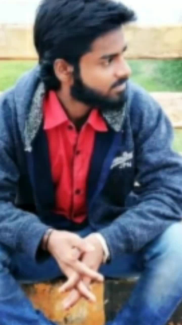 @Beard Dragon Rebel