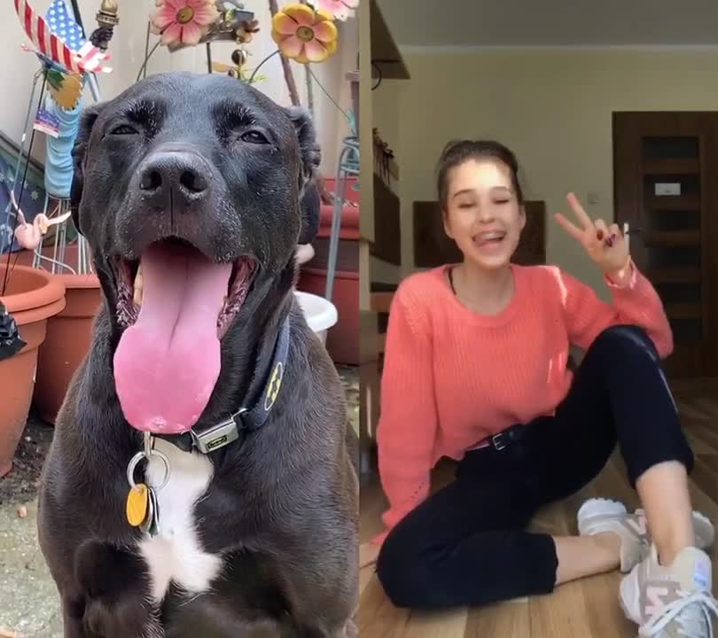 @Max the Pup
