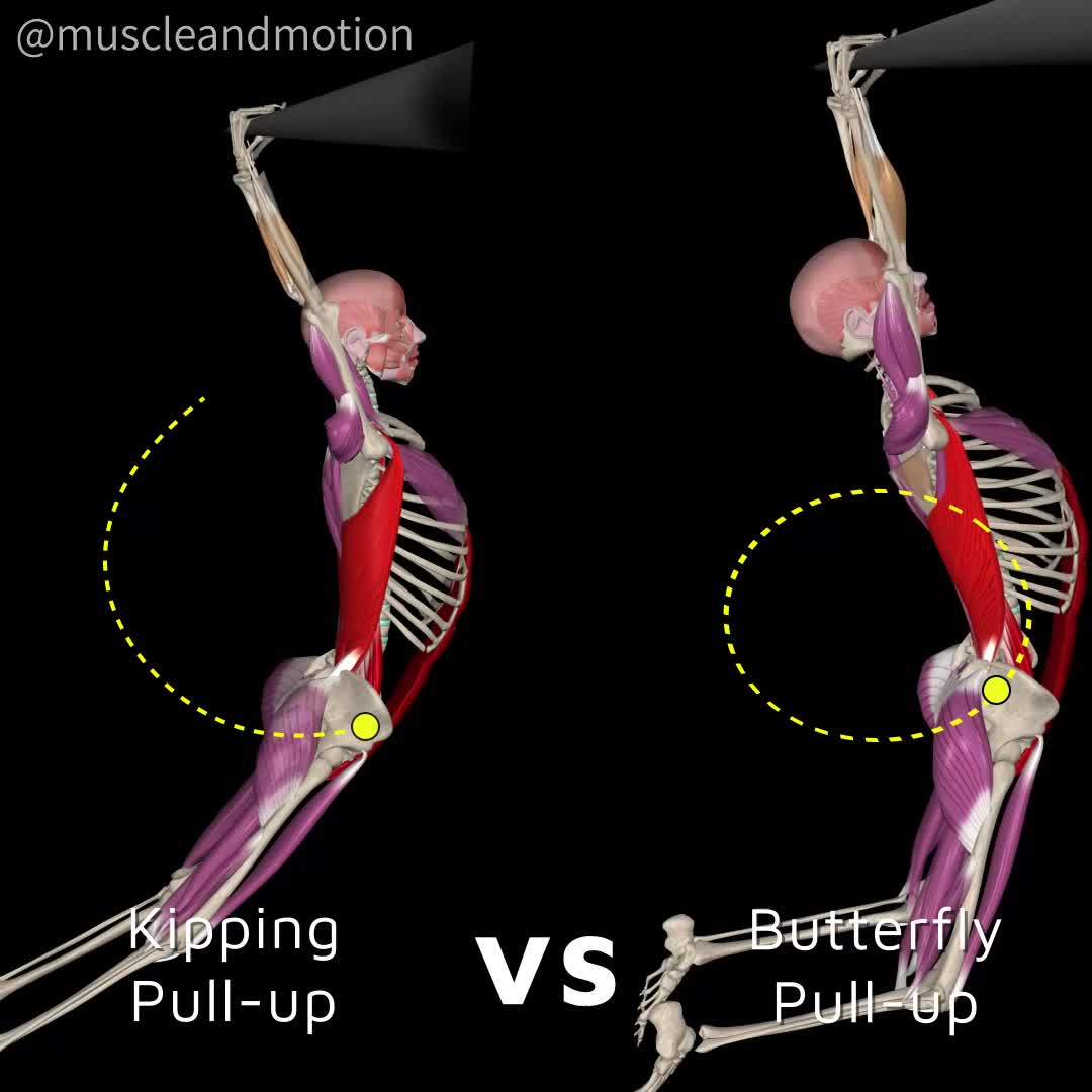 @Muscle & Motion