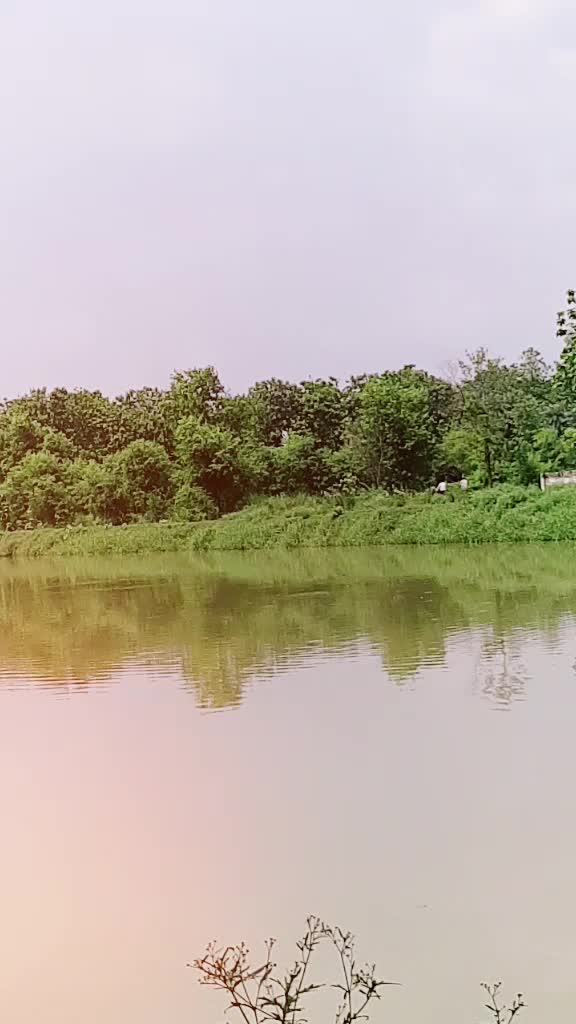 @naved_shaikh