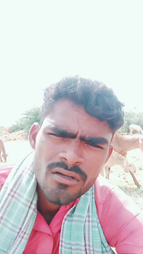 @user3090491047109