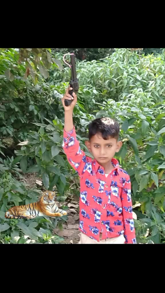 @user1190812616286
