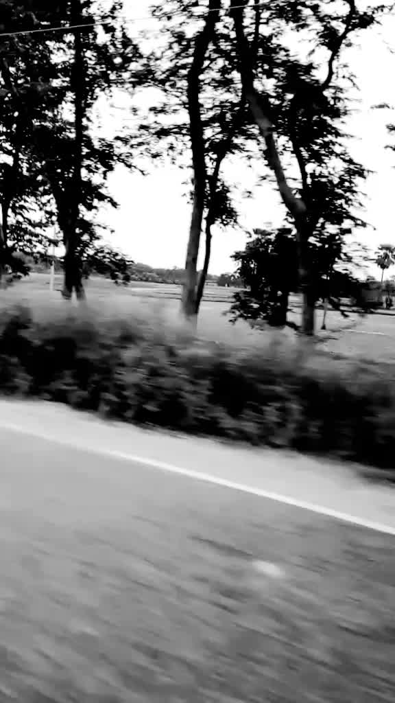 @Musharrafmalik