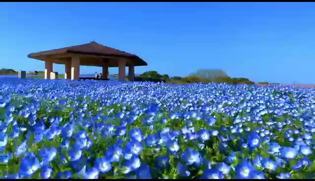 @Latha P