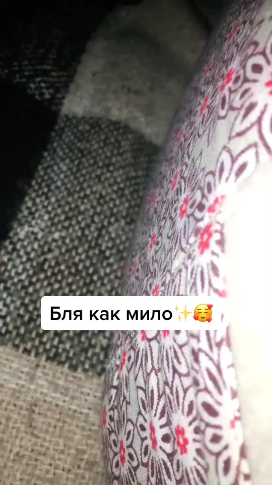 @holop_new {20к}