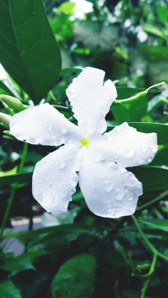 @It's_ Me_ PK