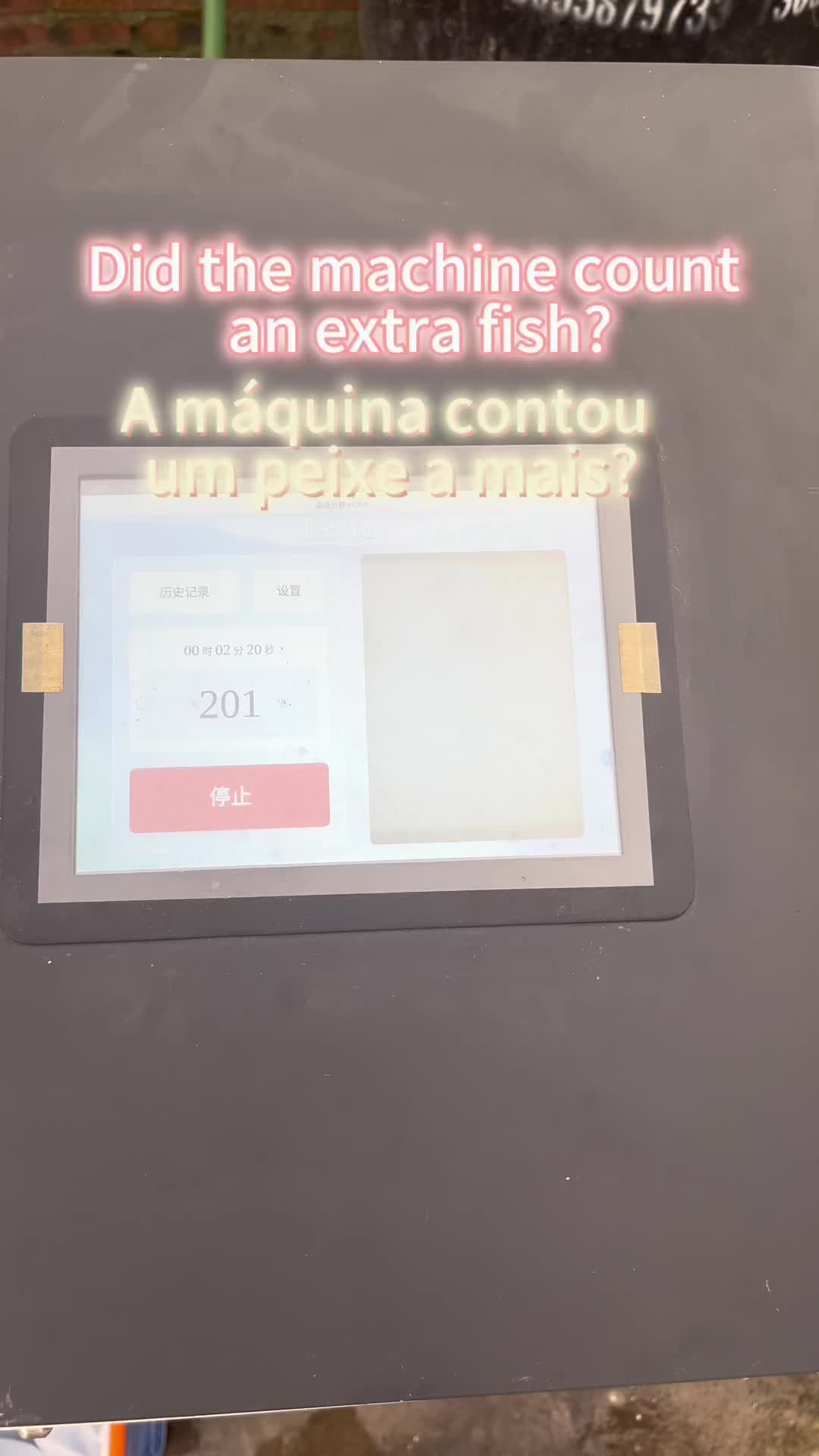 @Elissa