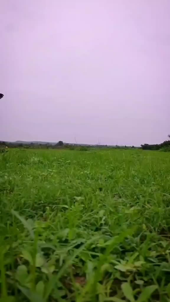 @Mr. Vinod___000