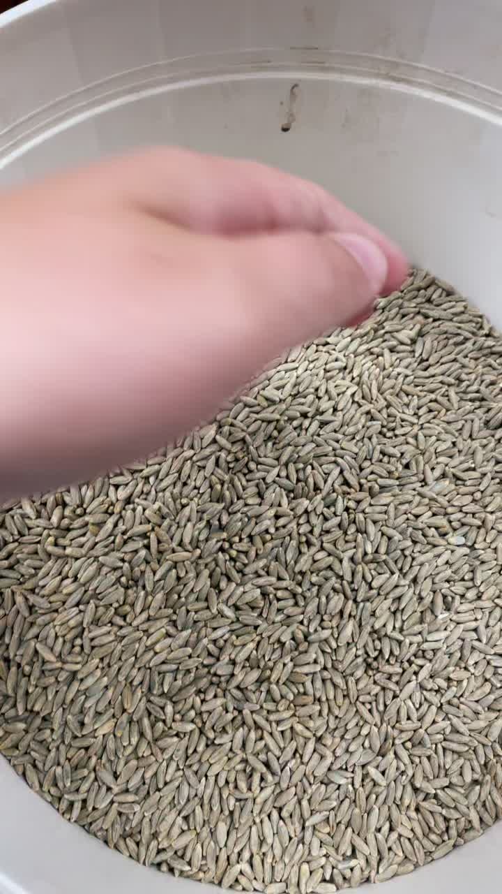 @seednetca