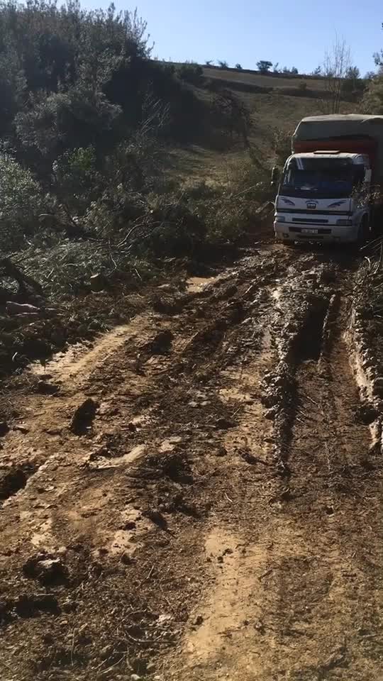@Murat5592