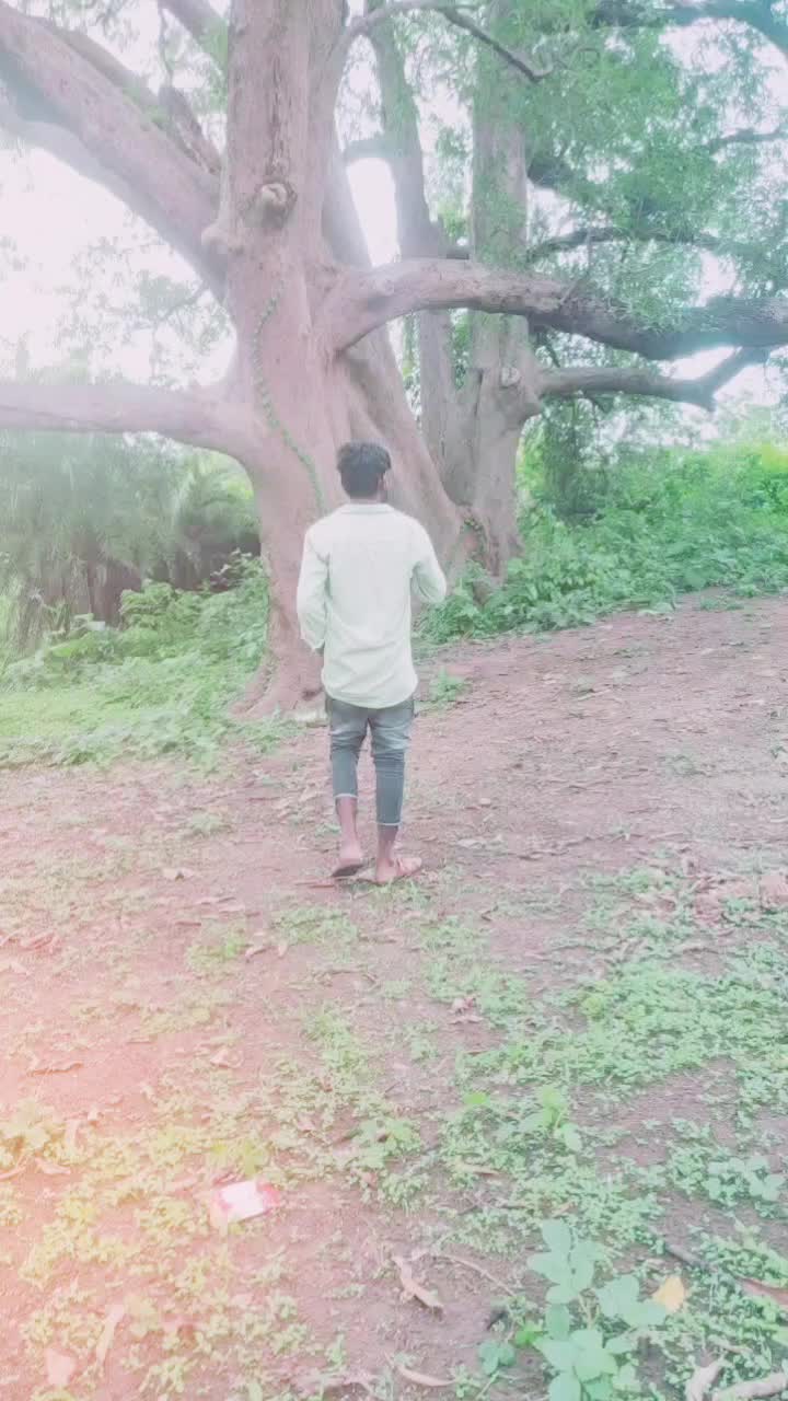 @rajinikanth