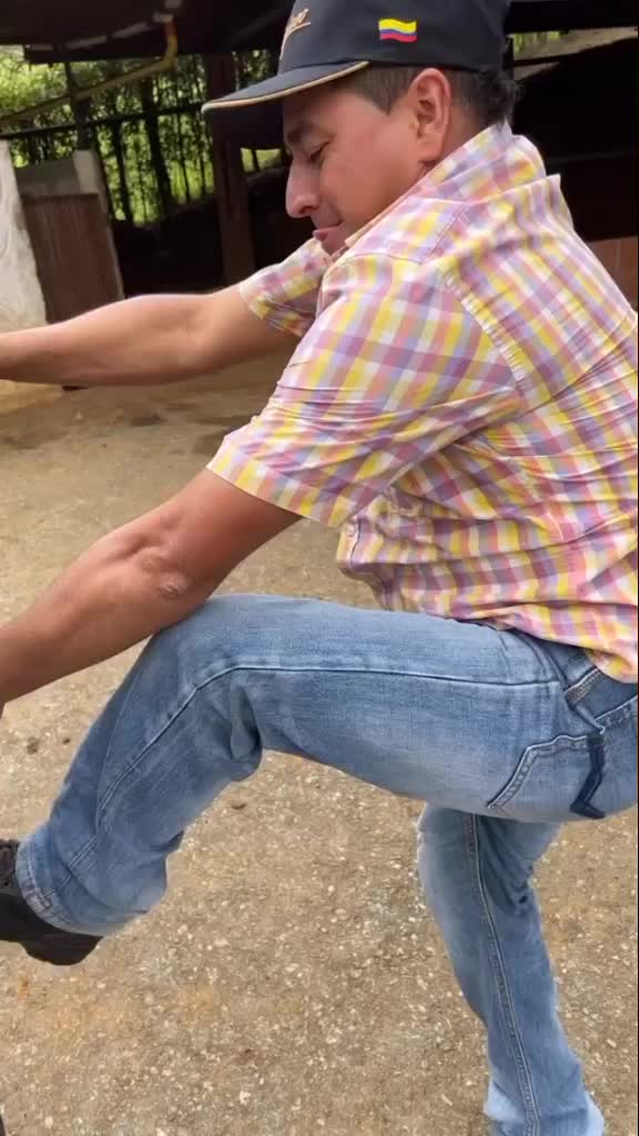 @Chichagrilloelpollo