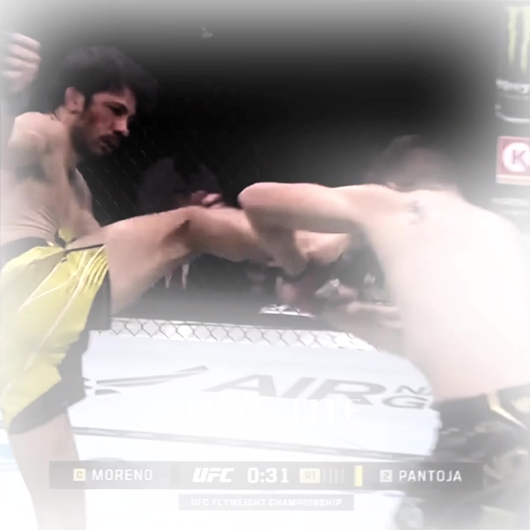 @mma_tite