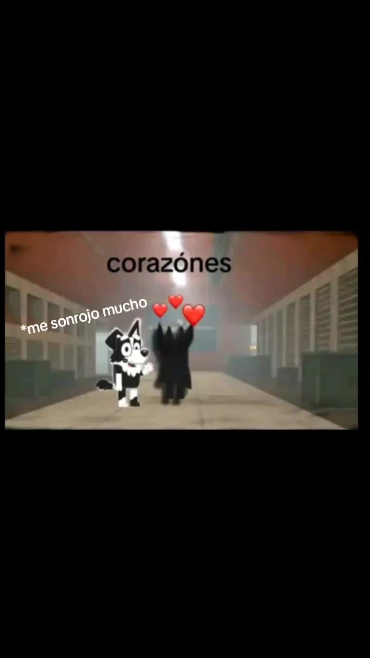 @momazos Mackenzie