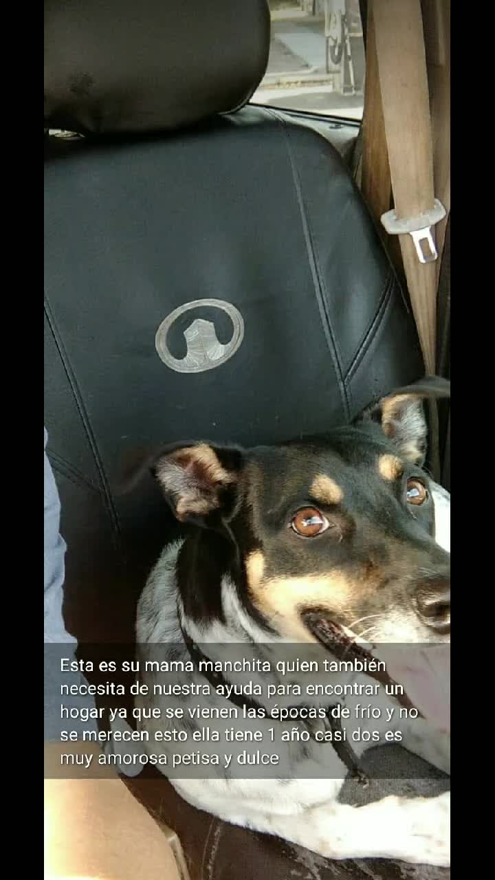 @valee_mentaste16