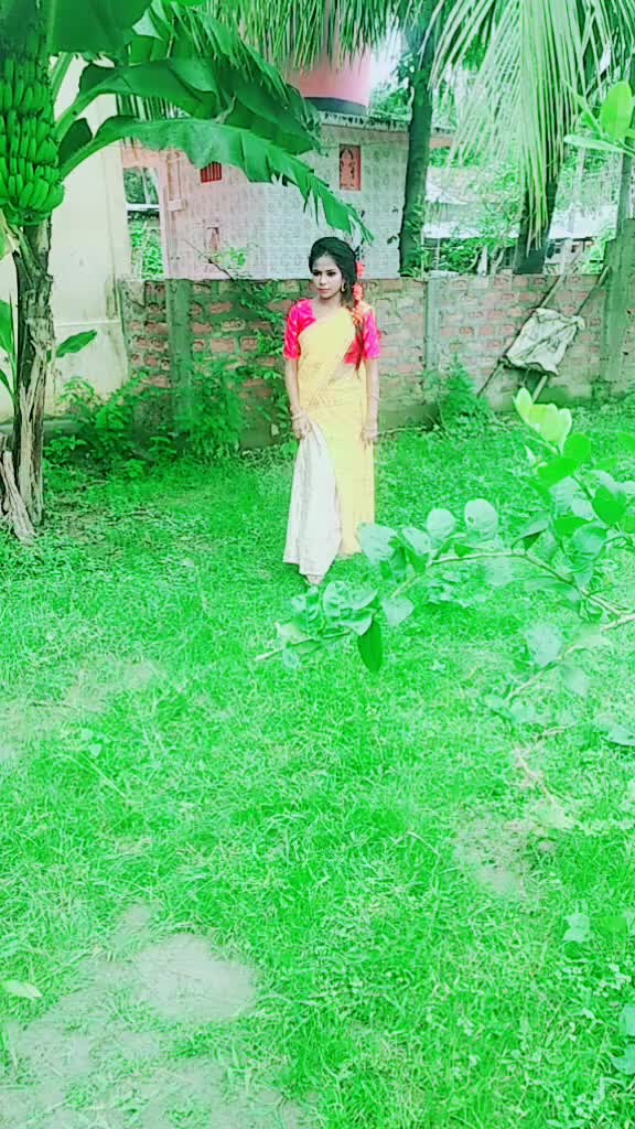 @baishya brothers