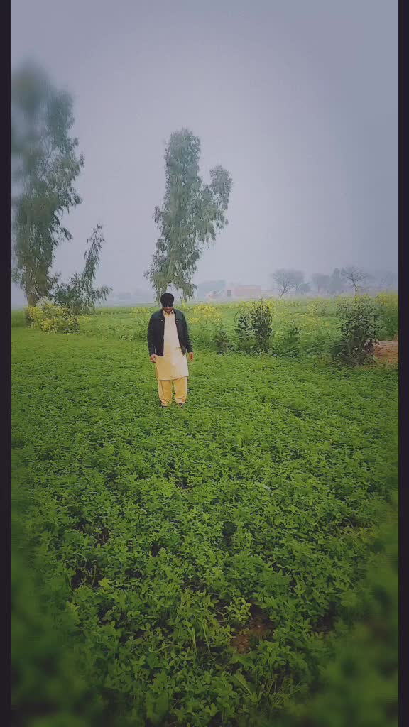 @Saqib Ali Warrich