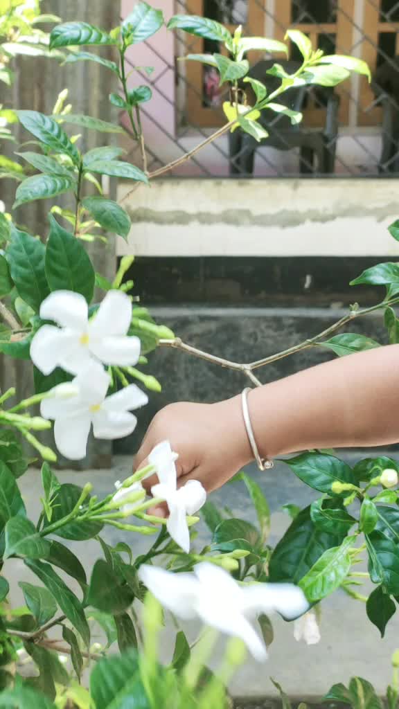 @♥Jyotishna♥