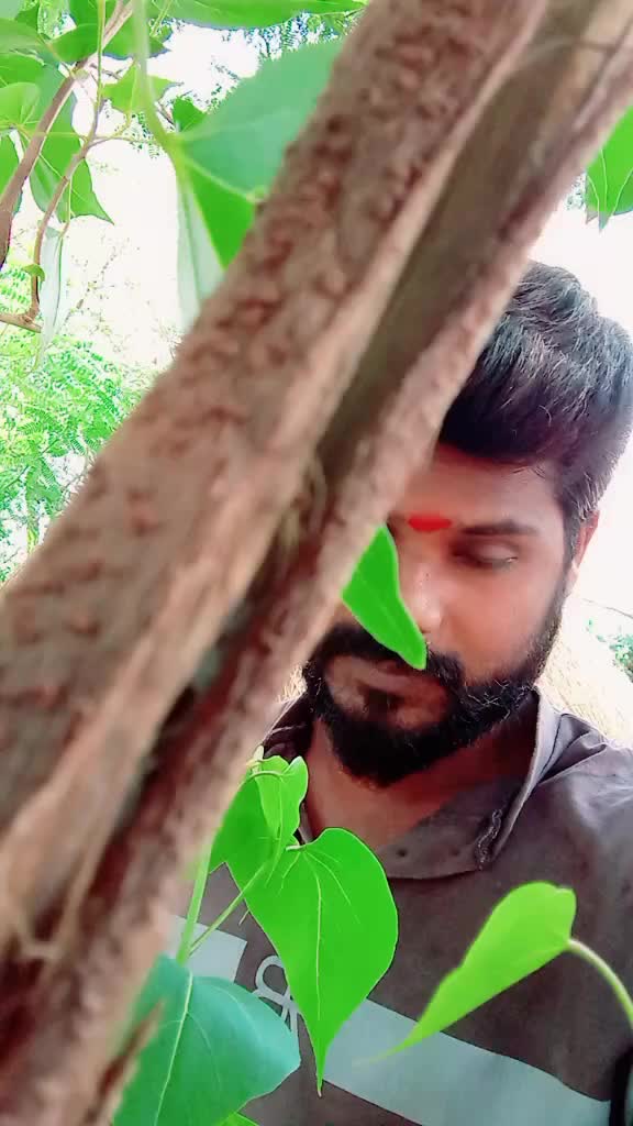 @Thiru Thiru