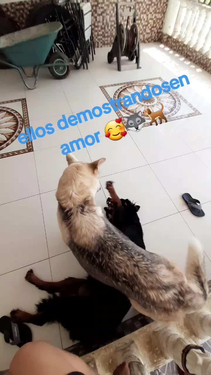 @jompiimore