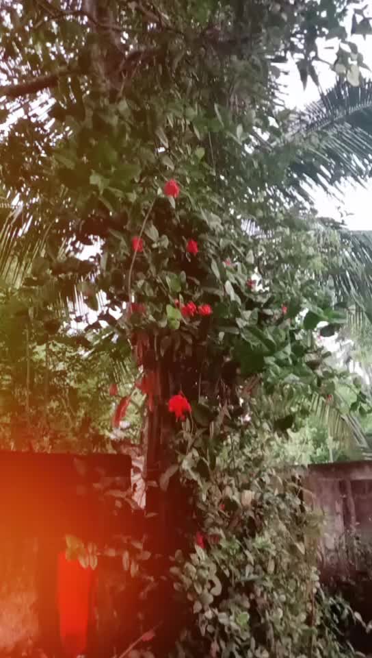 @ArYa PraKash
