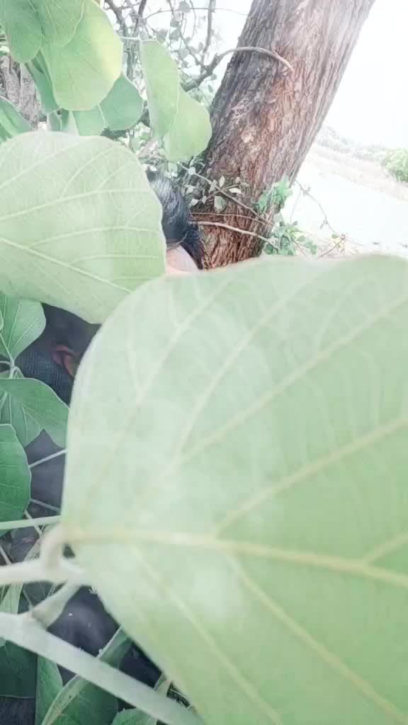 @Rameshwar lad
