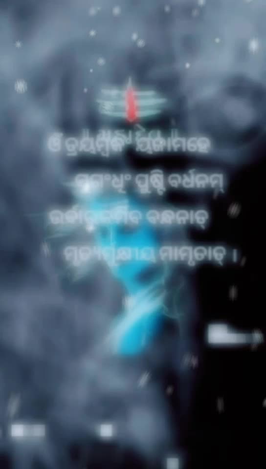 @Sunita