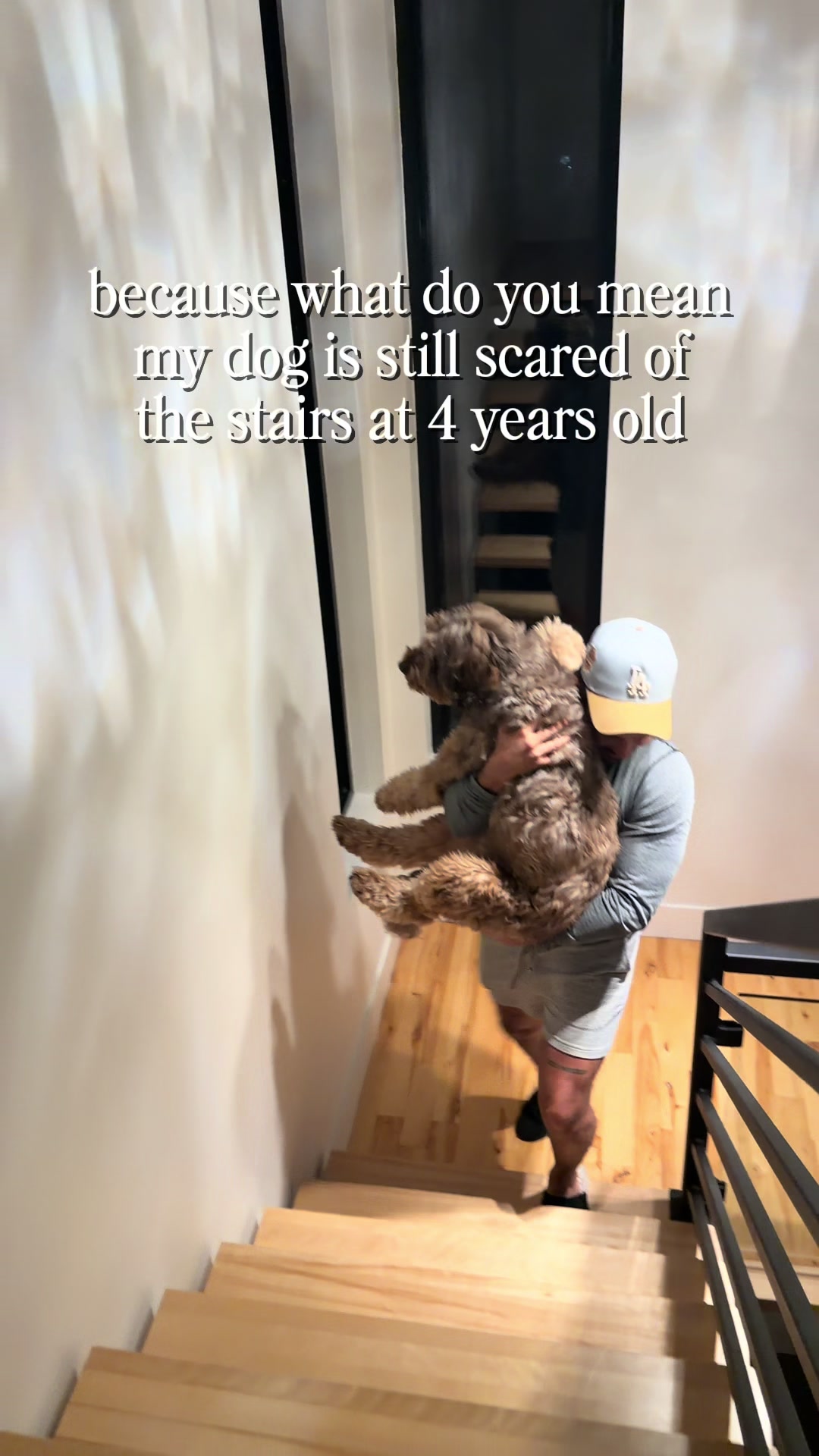 @Dogs Made Simple