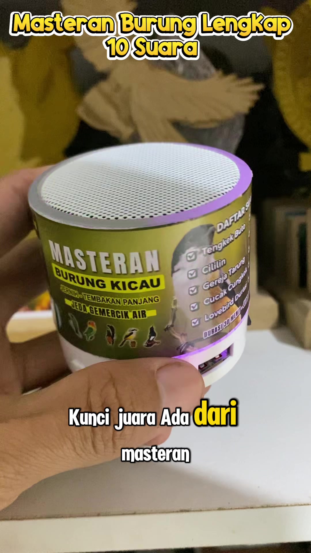 @kicau mart
