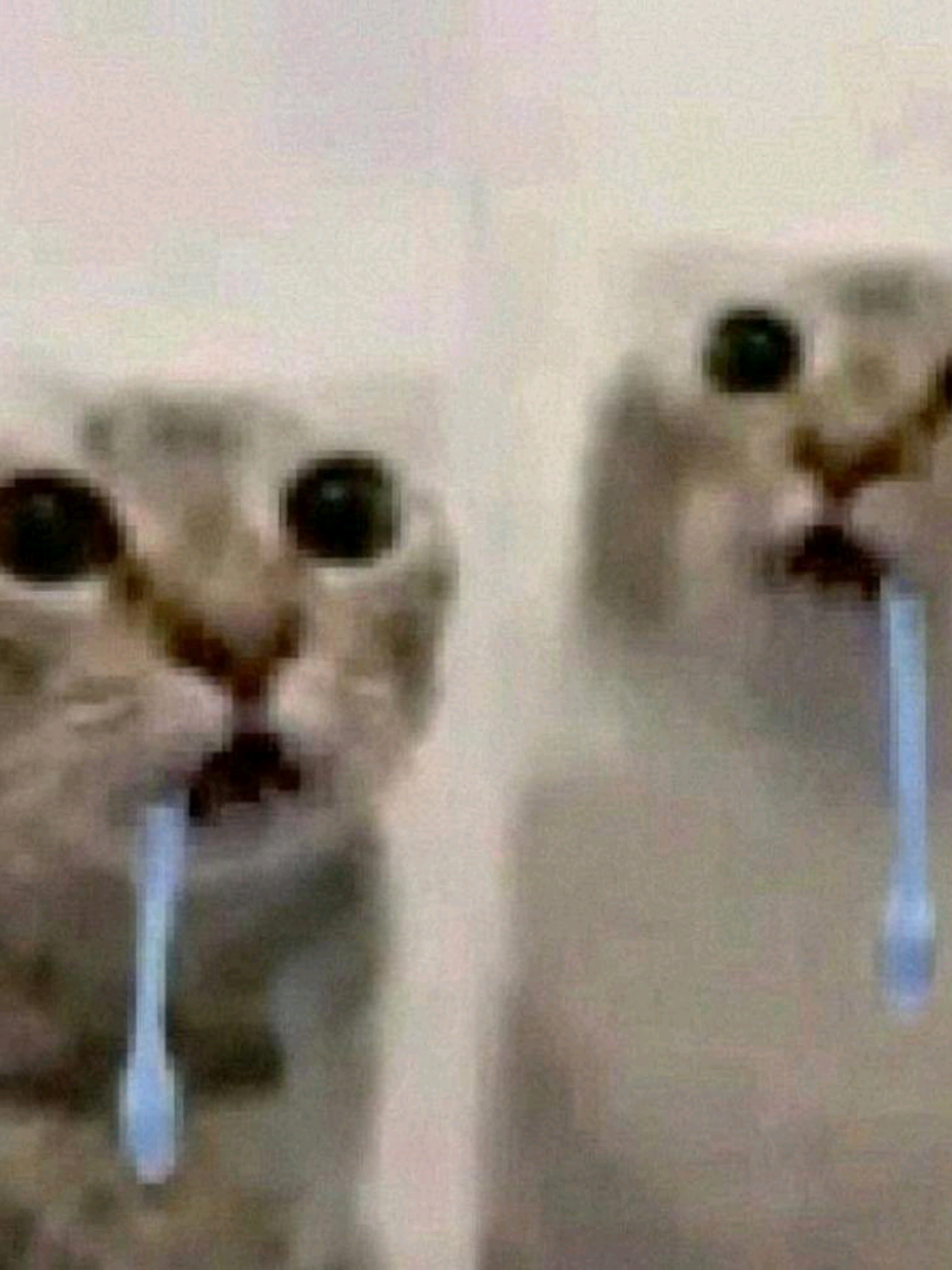 @Khato