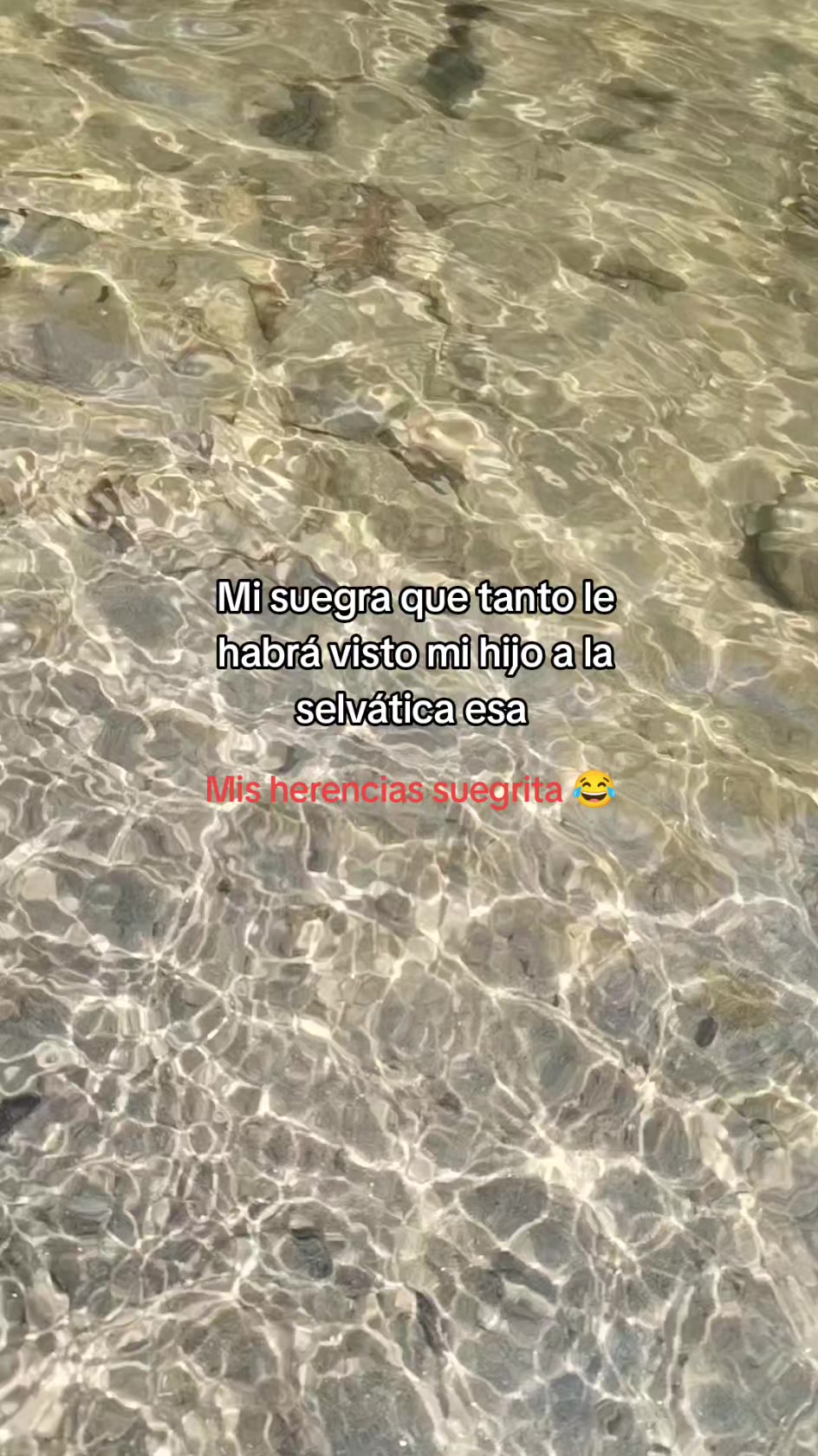 @Aracely Villanueva