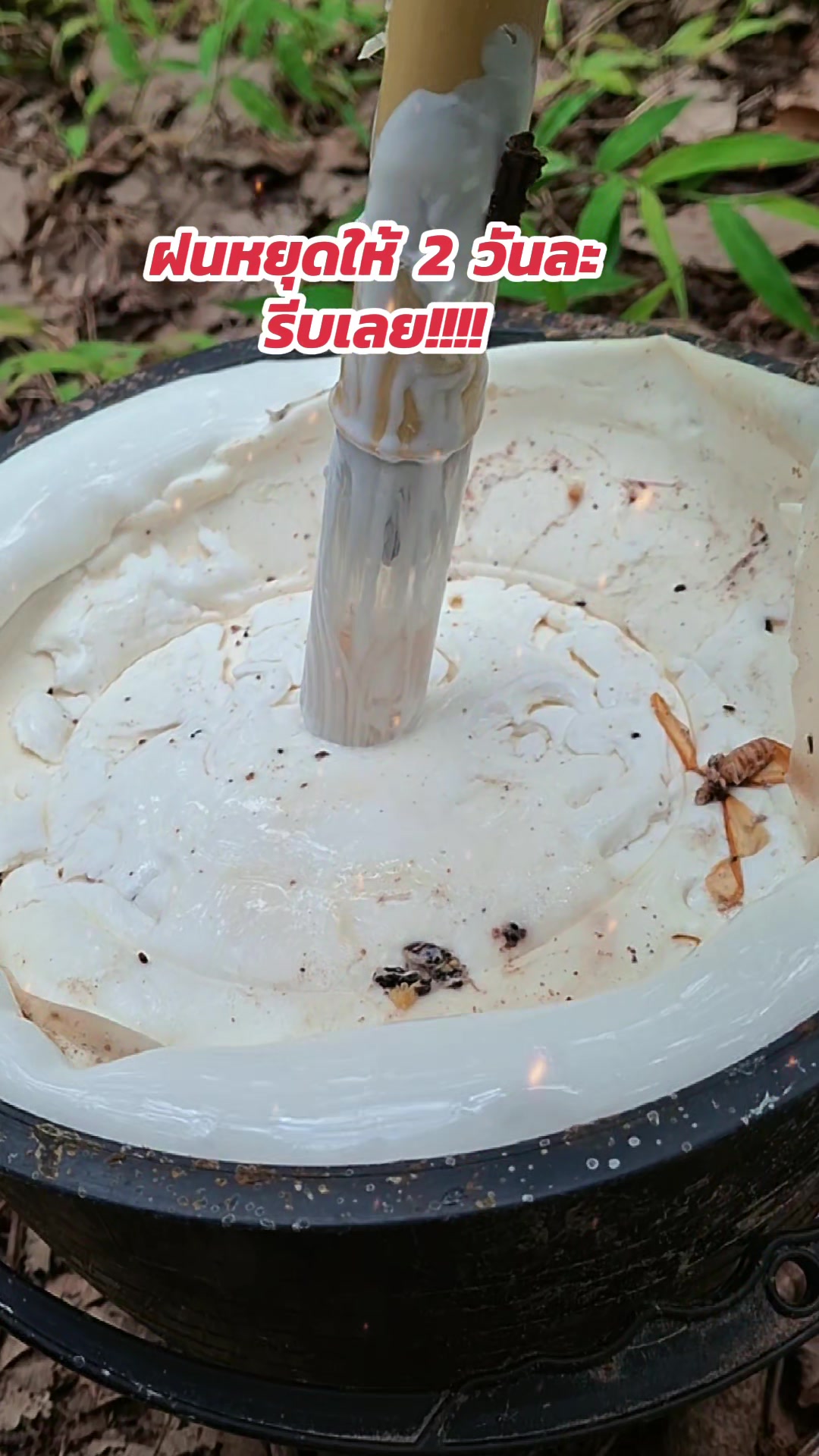 @แม่อ้อยเกษตรกรออนไลน์