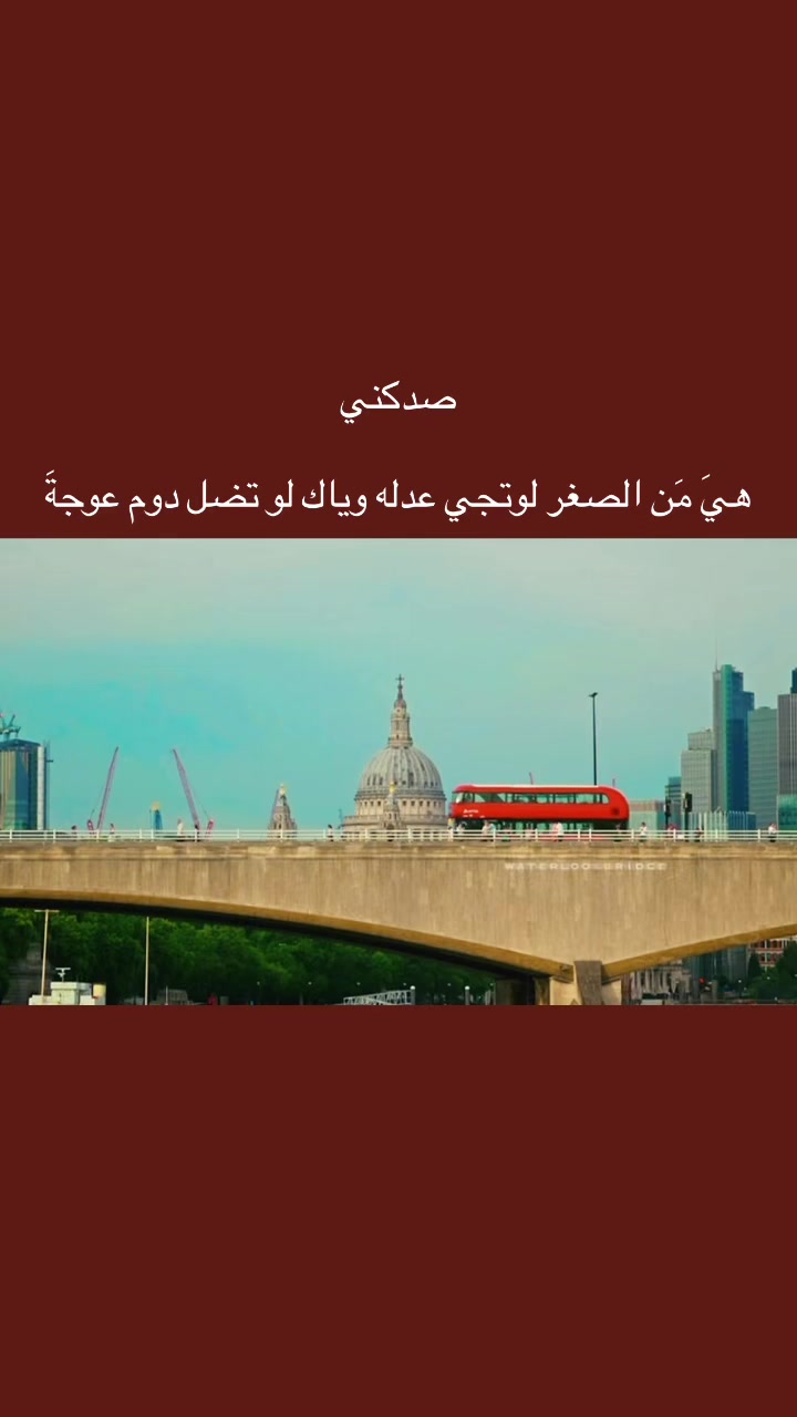 @المجتهد