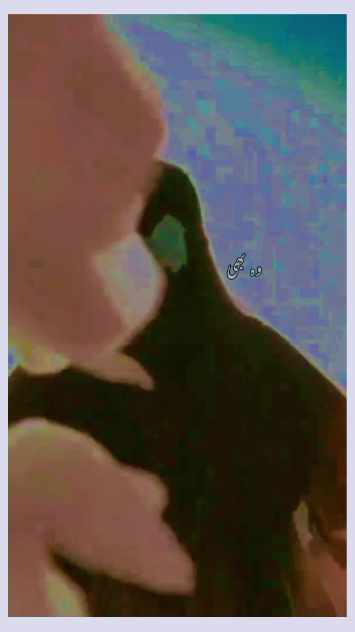 @ꃅคᵦⁱᵇꪊ𝗅𝗅α𝐡⛎