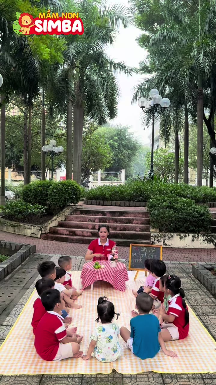 @Mầm non SimBa