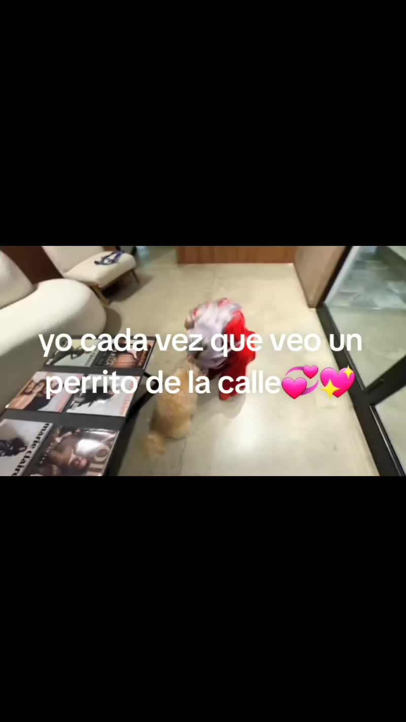 @antonella.coria3