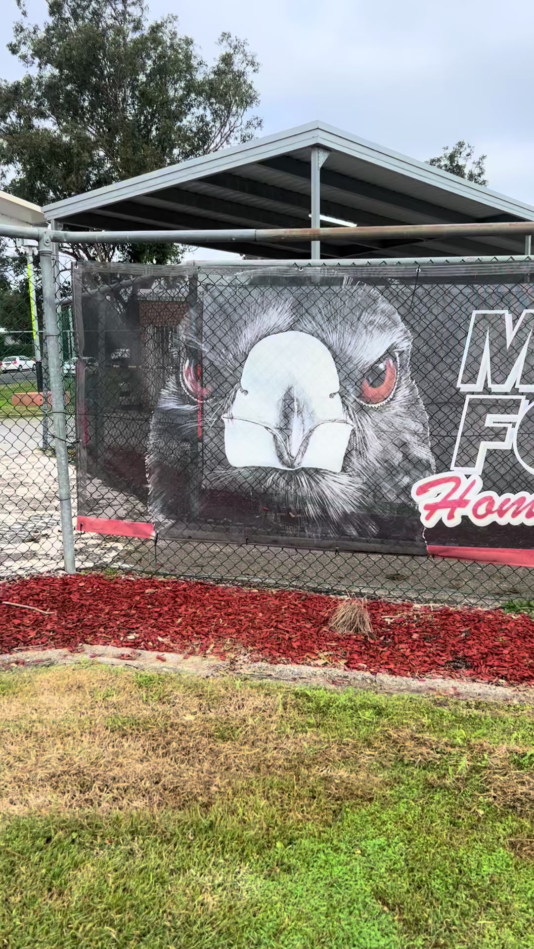 @Happy Trotter